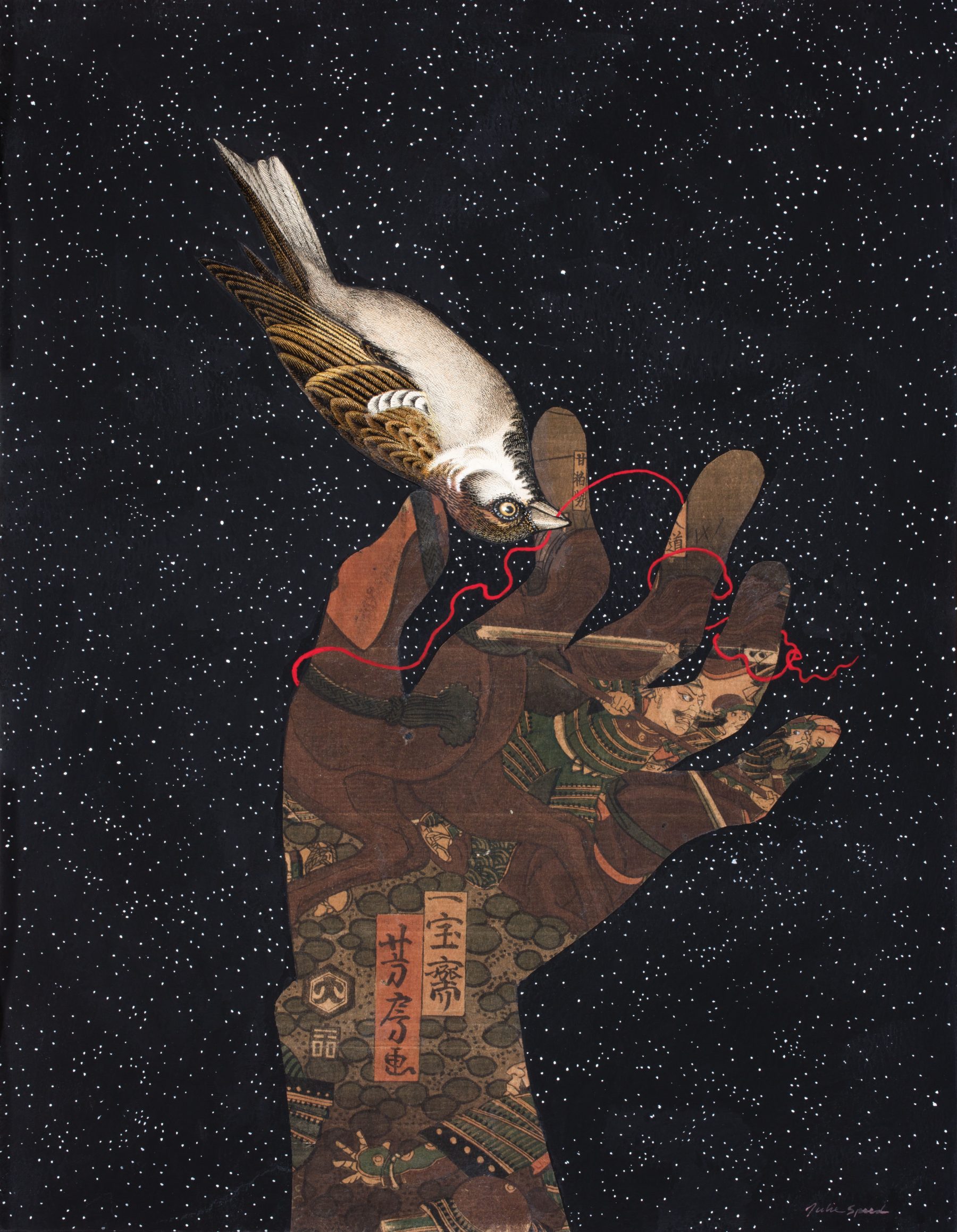 JULIE SPEED