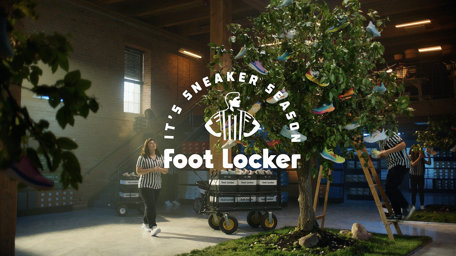 FINAL FL PREACHER CO BTS ST HOL 020