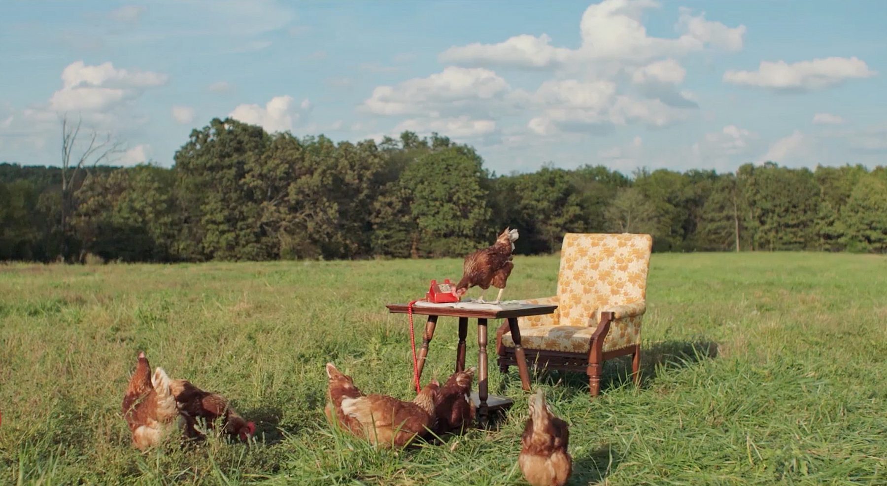 VITAL FARMS HEADER